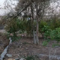 باغچه‌متراژ‌600