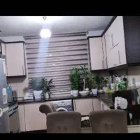 پرده زبرا در حد نو