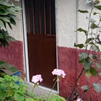 اجاره-سوئیت-کوتاه-مدت