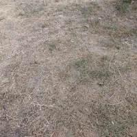 یک باغچه درروستای احمد کندی
