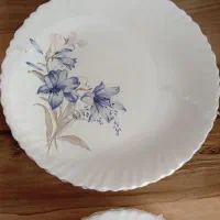 سرویس غذاخوری 30 نفره آرکوپال