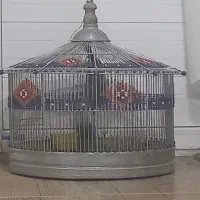 مست بخون