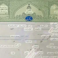 قطعه۲۴۰متری/سند تکبرگ/هلجرد/شهرک ولیعصر/مهر غربی