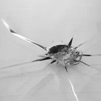 ترمیم شیشه و چراغ احسان