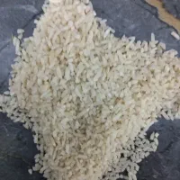 صدری دم سیاه دودی سورتینگ شده وخالص