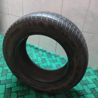 لاستیک ۱۴