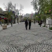 شریک