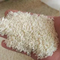 برنج درونگر درگز