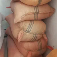 سبوس تاره برنج،(فلکوب)نیست