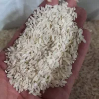 برنج لنجان