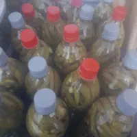خیارشور|عمده‌فروشی|جیرفت, |دیوار