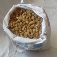 توت خشک