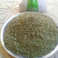 آویشن محلی (ازبوه)