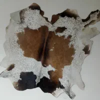 پوست گوساله