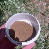 بازدید از باغ و مشاوره