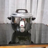 پلوپز تمام استیل/ سبزی خردکن/چرخگوشت/تستر