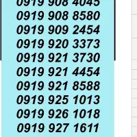 0919.211.31.61|سیمکارت|تهران, شیخ هادی|دیوار