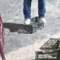 سبدسازی سبد گوجه