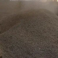 کاه گندم