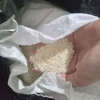 دانه طارم هاشمی خوش پخت و خوش مزه