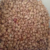 لوبیا چیتی