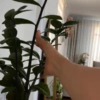 همه باهم۵۰۰۰۰۰۰