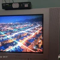 تلویزیون