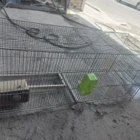 قفس جوجه پران