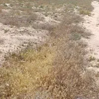 زمین-900متردرروستای-گراب-معاوضه-باخودرو