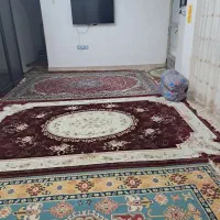 سوئیت-باغ-جنگلی