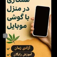کار در منزل بانوان