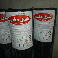 ایزو گام