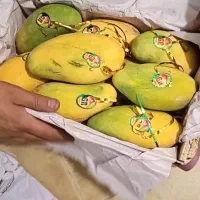 انبه|خوردنی و آشامیدنی|اهواز, کوی پلیس|دیوار