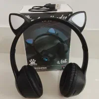 هدفن‌ طرح گربه