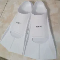فین شنا نو