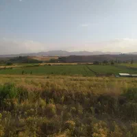 زمین کشاورزی، دامداری