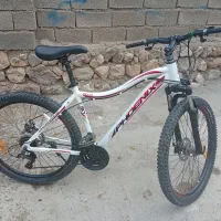 دوچرخه پونیکس