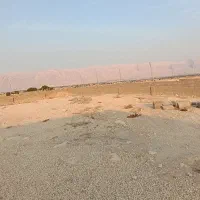 زمین باغ|فروش زمین و ملک کلنگی|بندر دیر, |دیوار