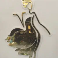 مژه کار ناخن کار ابروکار حرفه ای میکاپکار شنیونکار