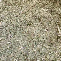 خار شتری|لوازم جانبی حیوانات|پائین جام, |دیوار