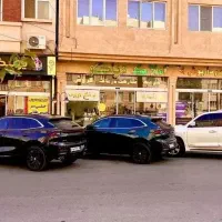 بورس-آپارتمان-زمین-الهیه-فرامرزعباسی-شاهنامه-دیاکو