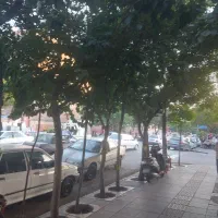 ۲۲.۵ متر مغازه تجاری پاخور / فلکه دوم