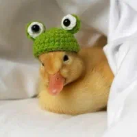 فروش خط روند 09121511020