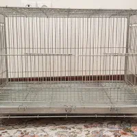 قفس تاشو پران با لانه