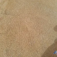 چاقاله کیلو ۵۳ سردار
