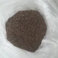 زیره سیاه اصل ، زیره سیاه کوهی