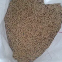 عدس و نخود محلی