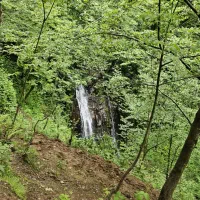 تور و سفر تفریحی شمال