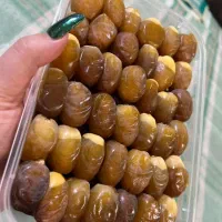 رطب کبکاب و برحی دونه درشت خورموج