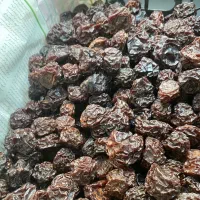 آلوچه خورشتی درجه یک